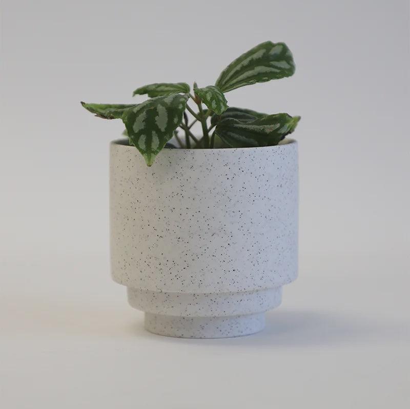 White Speckled Berkley Planter - The Curated Group