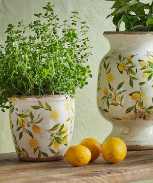 French Country Collection Botanical Lemon Pot Large