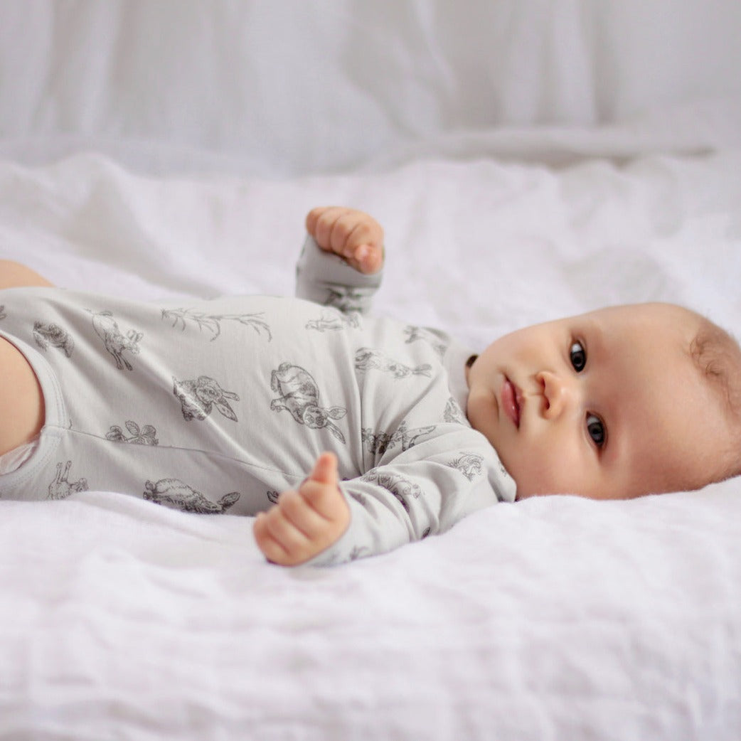 Long Sleeve Onesie - Grey Burrowers - Burrow & Be