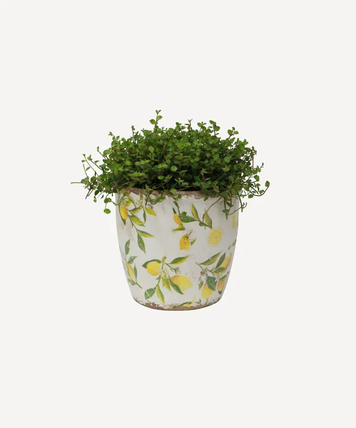 French Country Collection Botanical Lemon Pot Large