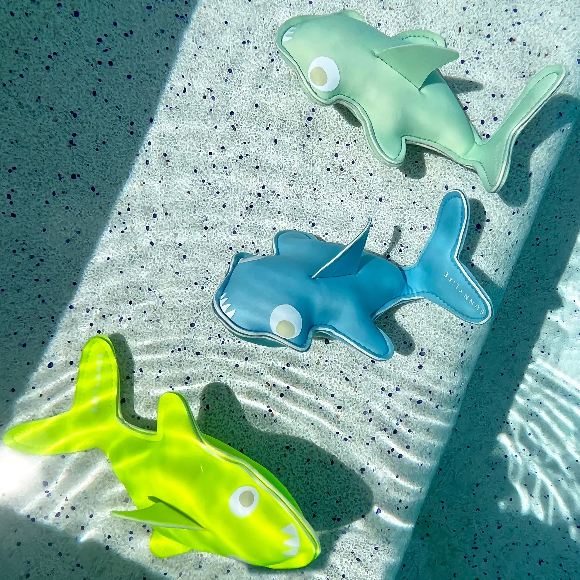 Dive Buddies - Sunnylife