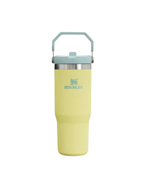 Stanley IceFlow Flip Straw Tumbler 30oz