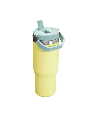 Stanley IceFlow Flip Straw Tumbler 30oz