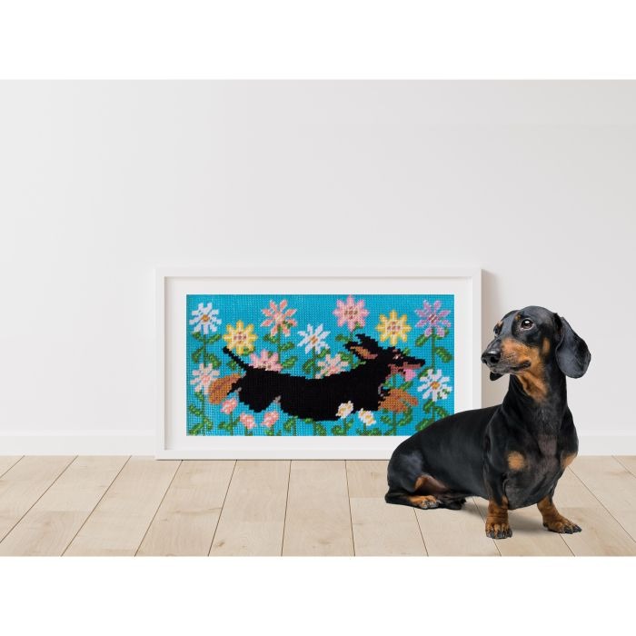 IS Albi Half Stitch Kit - Dachshund