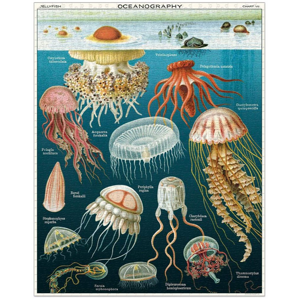 Jellyfish 1000pc Jigsaw Puzzle - Livewires