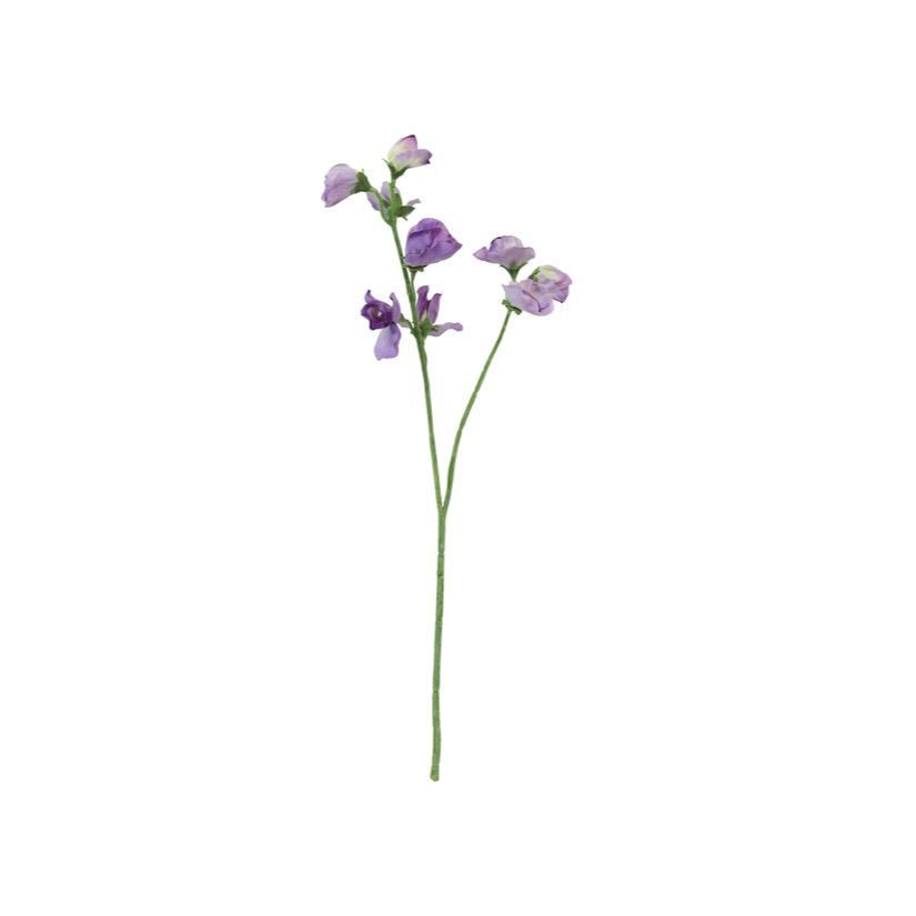 Sweet Pea Stem - Lavender - Flower Systems