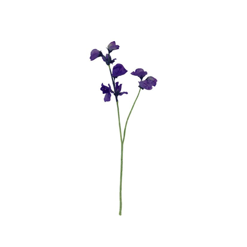 Sweet Pea Stem - Lavender - Flower Systems