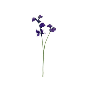 Sweet Pea Stem - Purple - Flower Systems