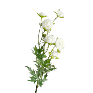 Petit Ranunculous White Spray 56cm - Flower Systems