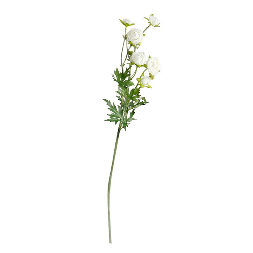 Petit Ranunculous White Spray 56cm - Flower Systems